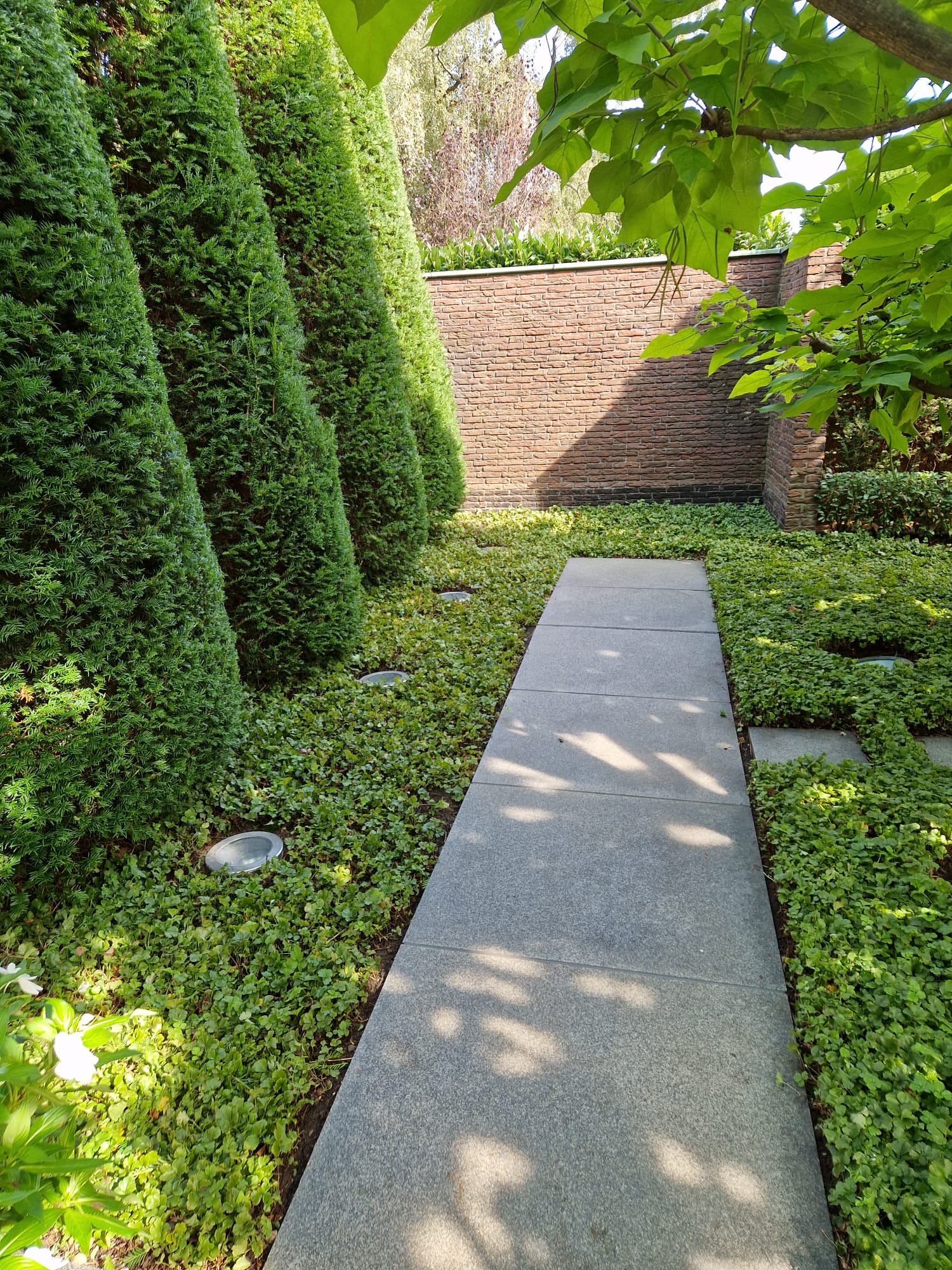 Gartenbild 1