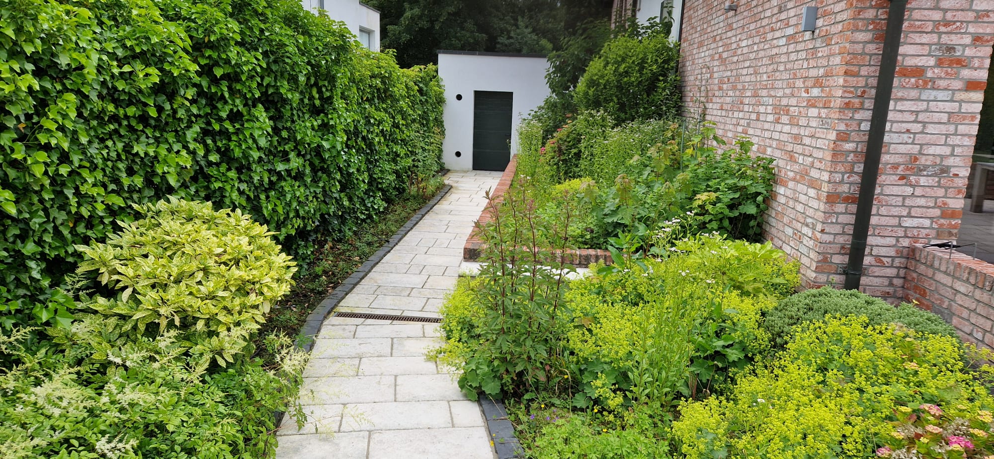 Beispielbild Gartenpflege 24