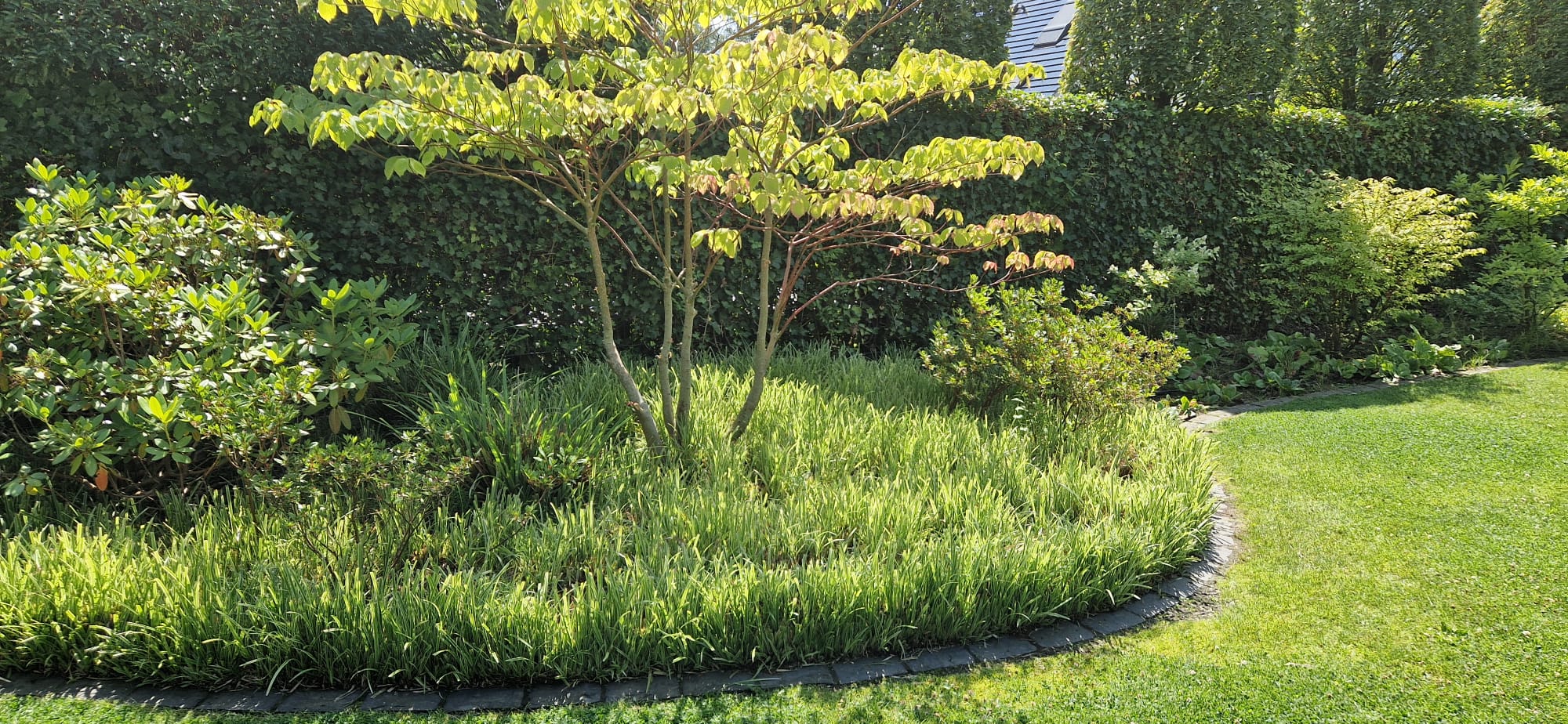 Beispielbild Gartenpflege 32